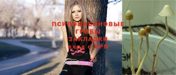 гашик Щучье