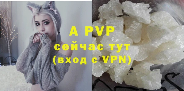гашик Щучье